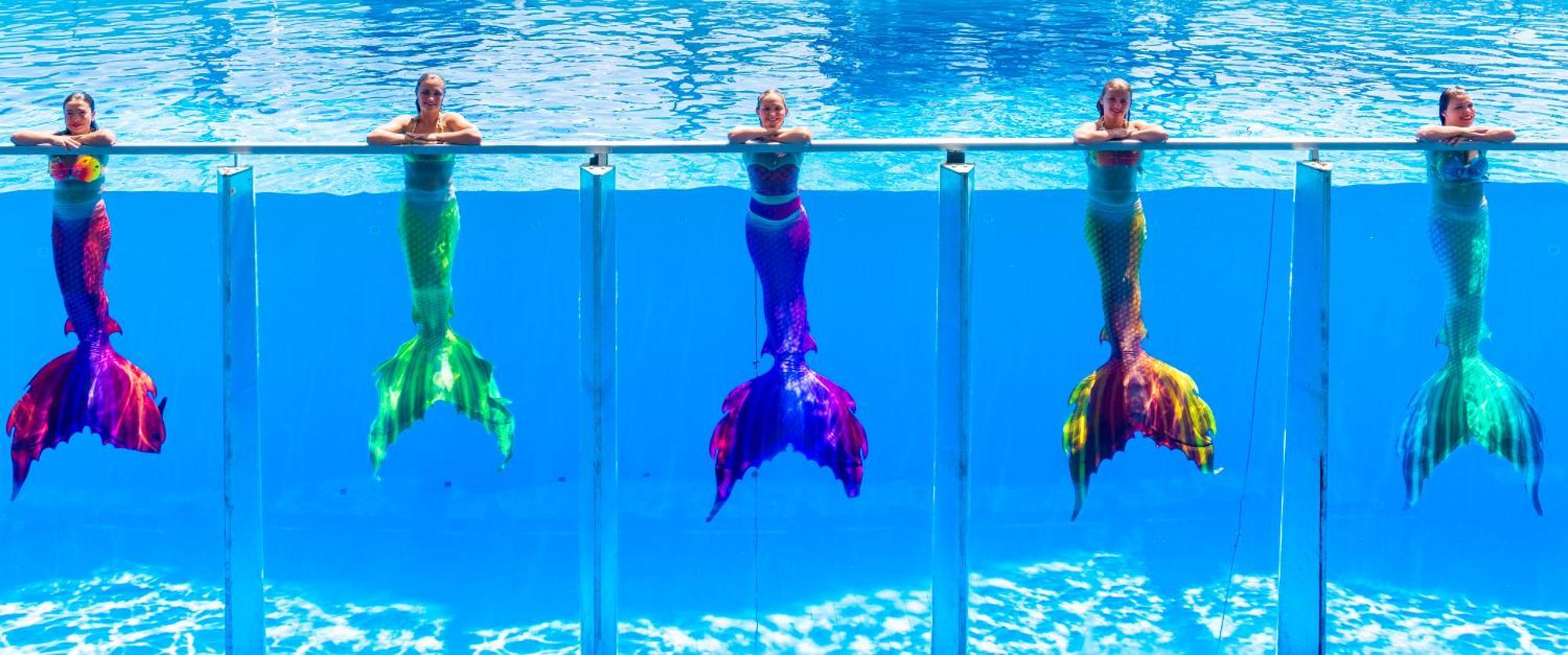 Daima Biz - Dolusu Aquapark Access Hotel Kemer