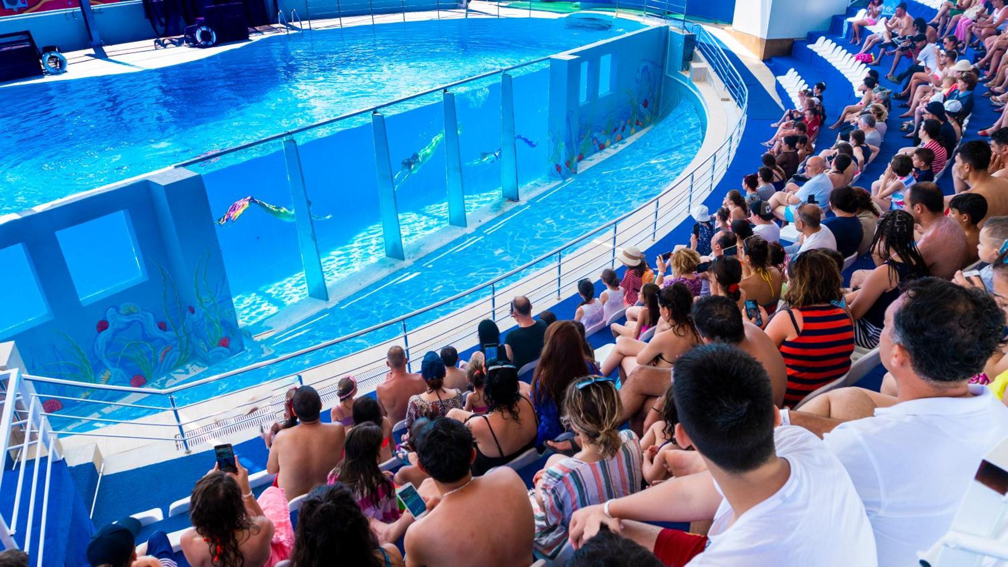 Daima Biz - Dolusu Aquapark Access